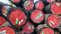 Rote Buhnenpfähle Rote Buhnenpfähle