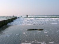 Ostseebad Nienhagen: Test-Buhnen