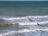 Ostseebad Nienhagen: Test-Buhnen bei stürmischer Ostsee