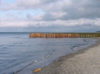 Ostseebad Nienhagen: Buhnenbau im Jahre 2002