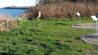 Ostseebad Nienhagen: Widerrechtlicher Bewegungsparcours am Kliff