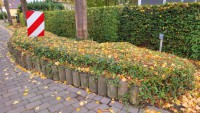 Strandstrasse: Pflanzinsel 1