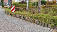 Strandstrasse: Pflanzinsel 4