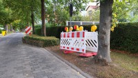 Vorbereitung der Erneuerung der Pflanzinseln Vorbereitung der Erneuerung der Pflanzinseln
