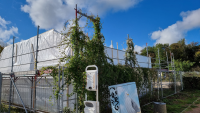Ostseebad Nienhagen Strandversorgung 07