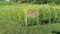 Verein für Natur- und Umweltschutz Ostseebad Nienhagen (NUN)