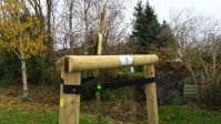 Verein NUN Obstbaum mit abgebrochener Krone